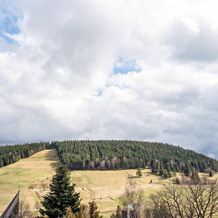 Ferienwohnung Haus Bergruh Kuckucksnest Todtnauberg Exterior foto