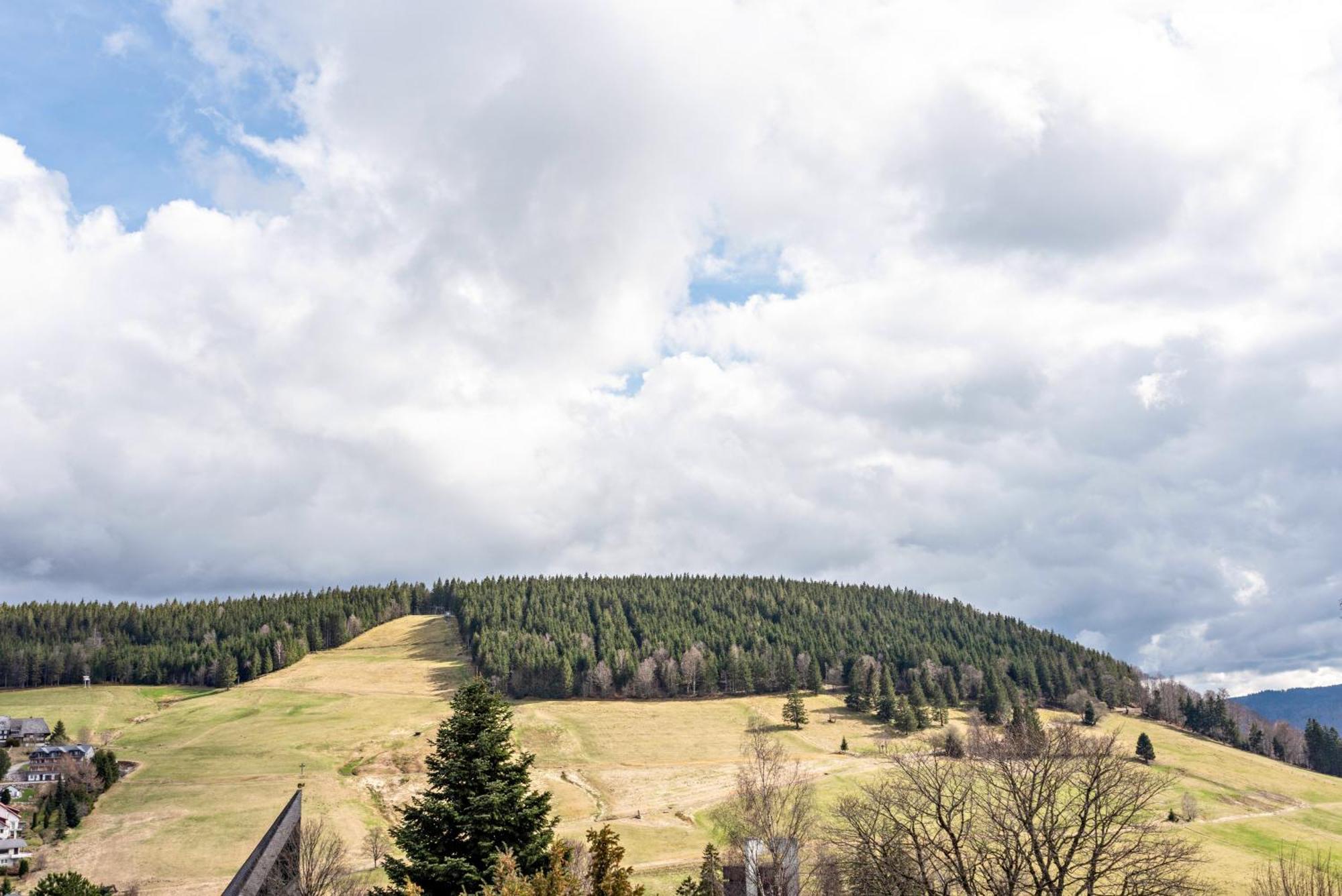 Ferienwohnung Haus Bergruh Kuckucksnest Todtnauberg Exterior foto
